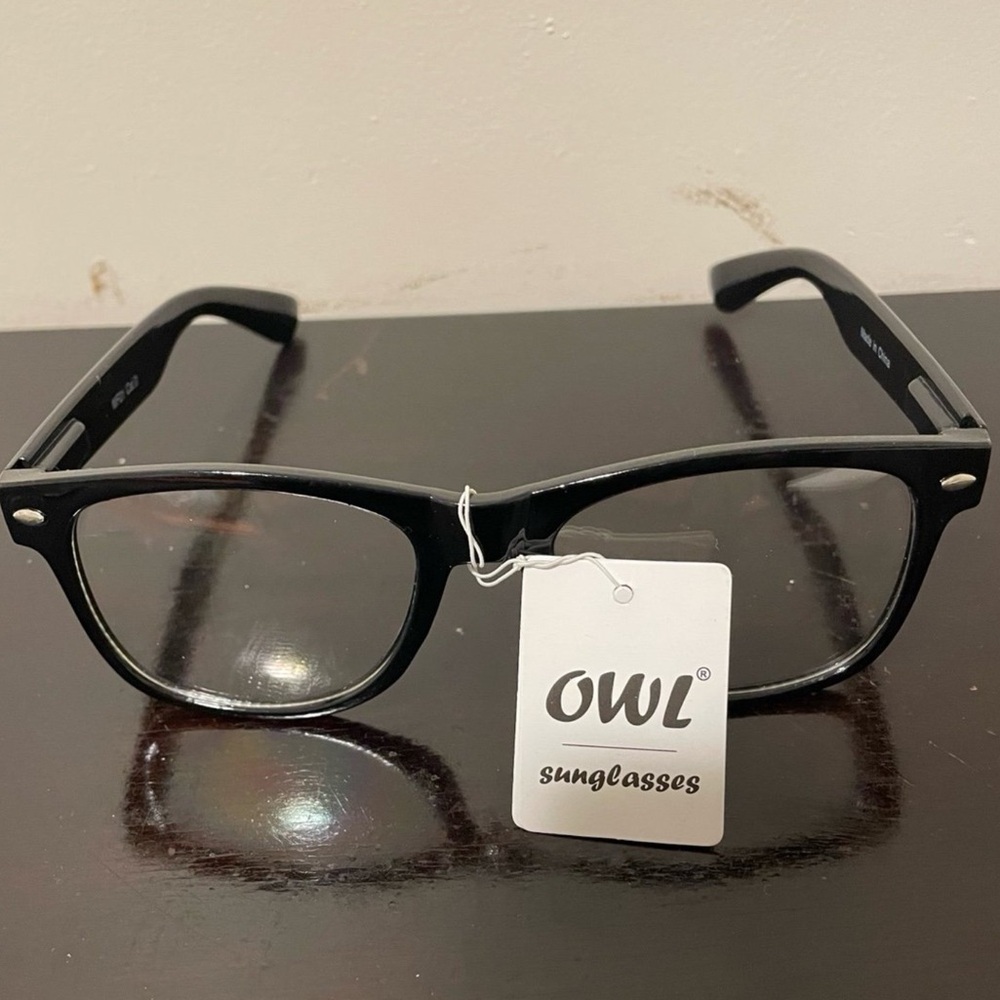 Black Rimmed Owl Sunglasses